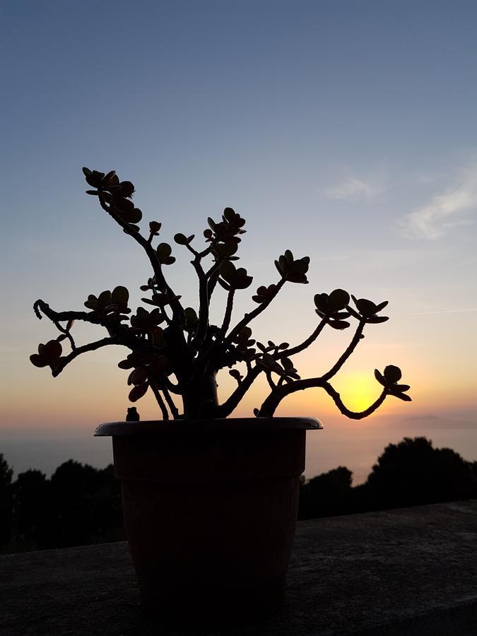 אנה קאפרי Il Rifugio B&B Capri מראה חיצוני תמונה